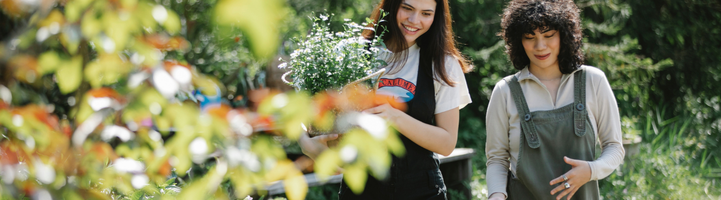 Top 5 Reasons Why Walk and Talk Therapy is Picking Up Speed