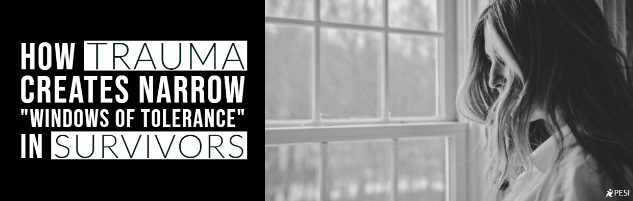 Link to Blog: How Trauma Creates Narrow “Windows of Tolerance” in Survivors