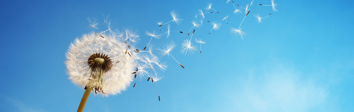 Turning Hopeless into Hopeful: Using Creative Hopelessness to Help Clients Let Go