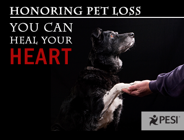 Blog Featured Image Thumbnail Honoring Pet Loss_text included_380 x 290 px_11202024
