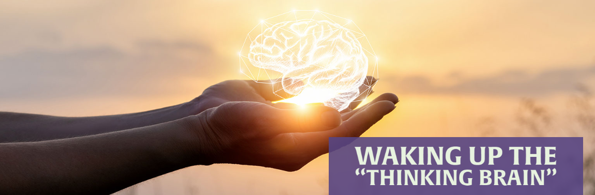 Waking Up The Thinking Brain