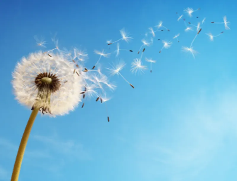 2028 20220125 123038 Blog Turninghopelessintohopeful 380X290