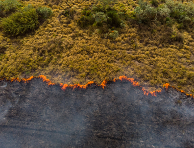 Recognizing Clinical Presentations of Anxiety and Grief in the Context of Climate Change