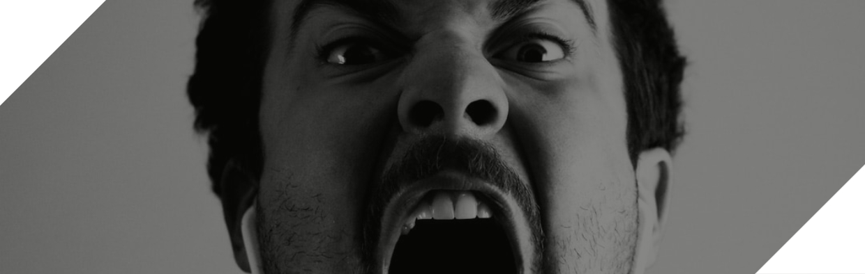 Link to Rage in America Blog