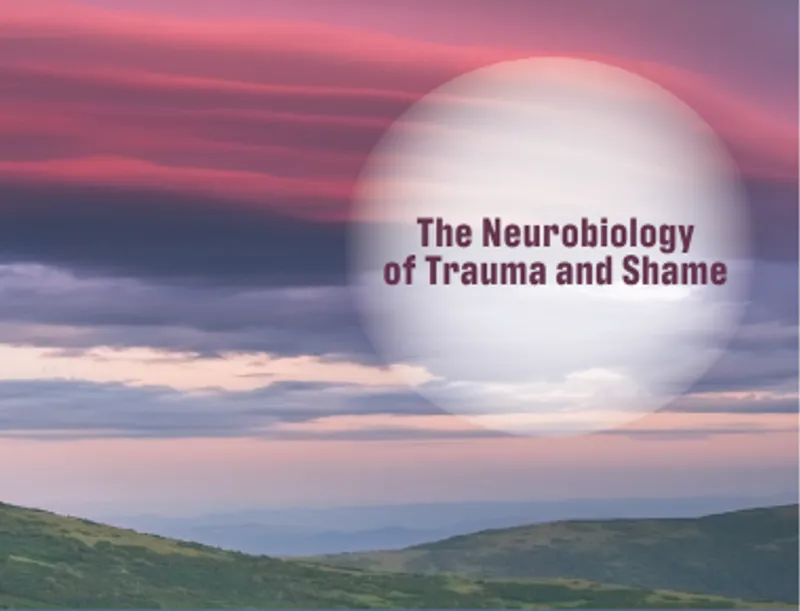 1830 20200928 013157 Pub086315 Shameinformedtherapy The Neurobiology Of