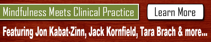 Online Course: Mindfulness Meets Clinical Practice