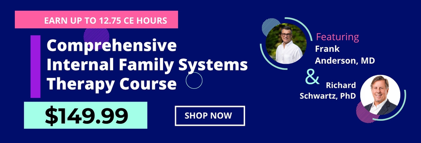 IFS 001383 Expert 852X290 (1)