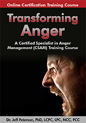 Driving Anger Expression Inventory Worksheet