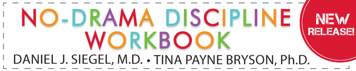 Special Offer: No Drama Discipline Workbook