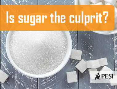 990 20160815 035052 Sugar Burdick