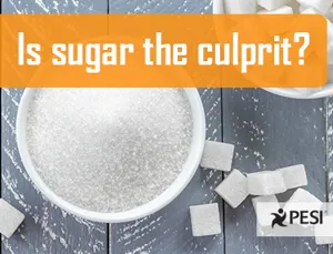 990 20160815 035052 Sugar Burdick