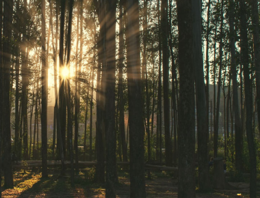 Blog The Effect of Feeling: Pleasant and Unpleasant