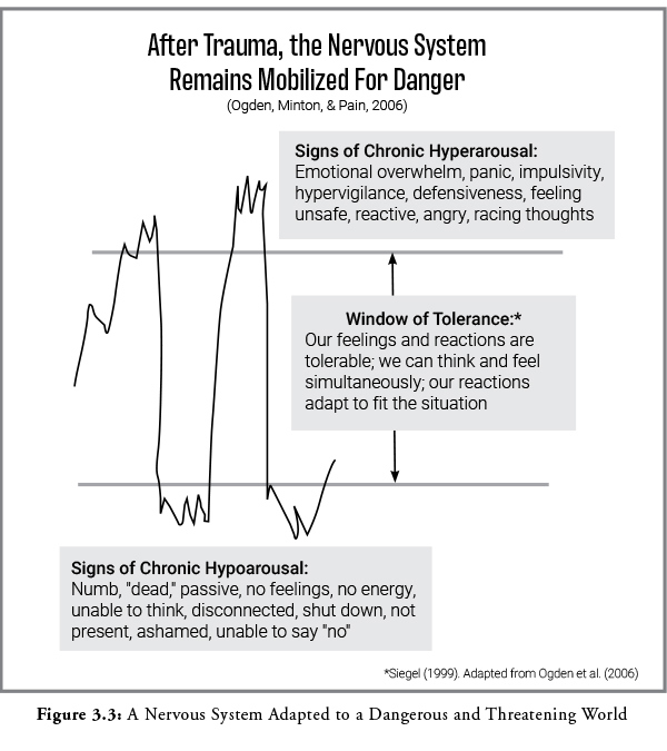 Figure 3.3 blog How Post Traumatic Symptoms Reflect Trauma