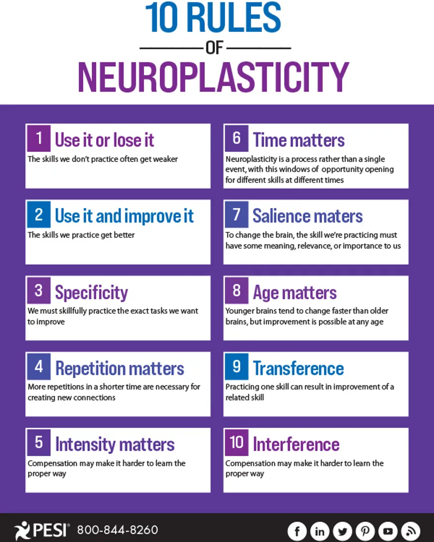 10 Rules of Neuroplasticity