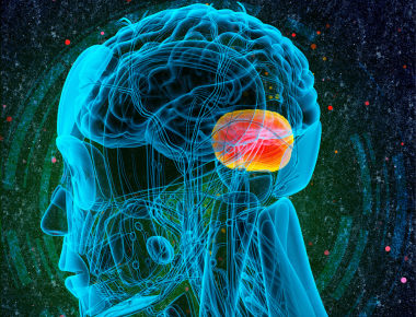 How to Use CPR for the Amygdala in Your Practice