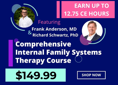 IFS 001383 Expert Mobile 400X290