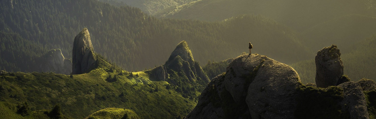 Blog - The Psychological Flexibility of Acceptance & Commitment Therapy