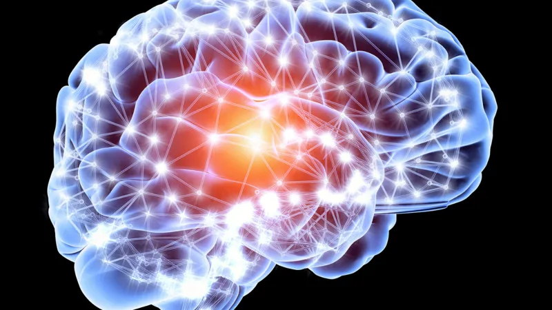 Computer Artwork Of A Brain In Side View