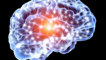 Computer Artwork Of A Brain In Side View