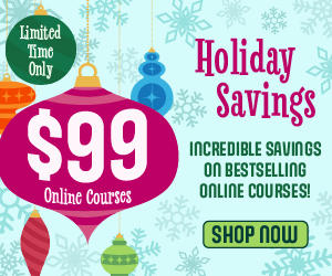 2025 Dec Holiday Sale Set 1 300X250