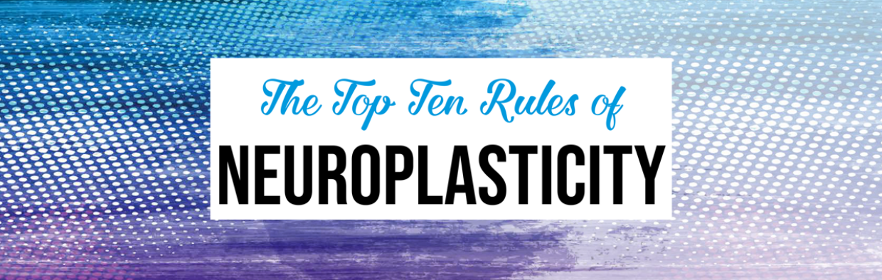 Blog: Neuroplasticity through Exercise for Fall Prevention