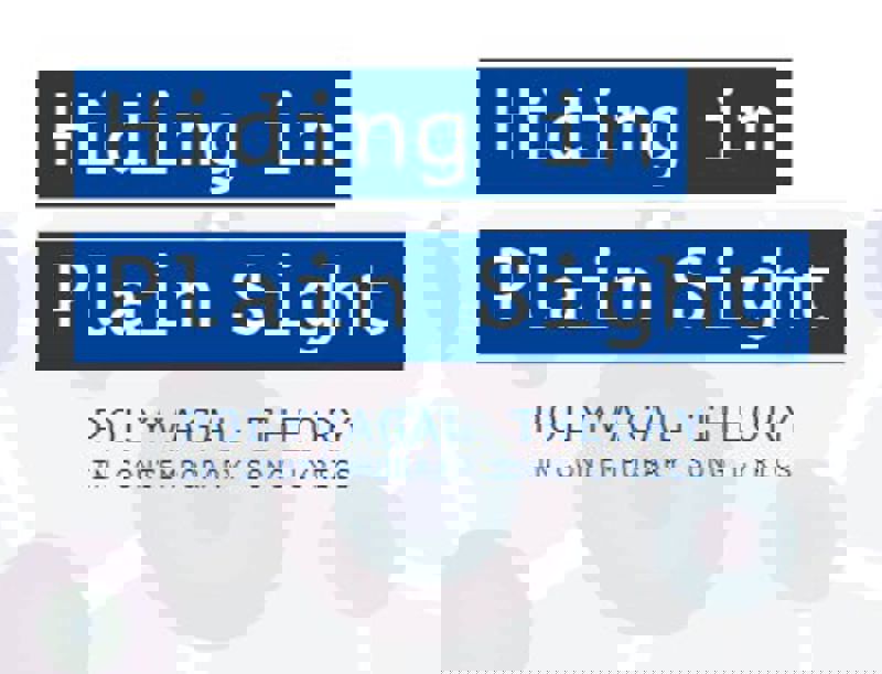 1703 20191227 111630 Hiding In Plain Sight Polyvagal 380X290