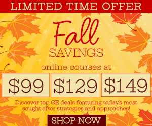 2025 Fall Savings CE Sale Web Ads Bucket 300 X 250 (1)