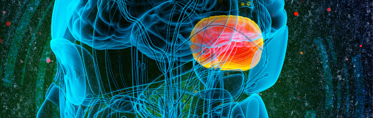 How to Use CPR for the Amygdala in Your Practice